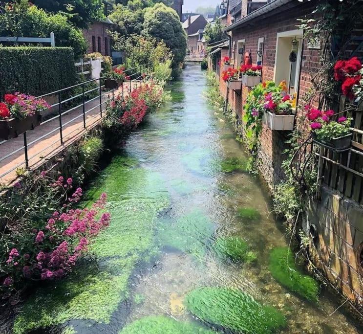 L'Albatre - Maison Situee A Quelques Pas De La Mer Saint-Aubin-sur-Scie Εξωτερικό φωτογραφία
